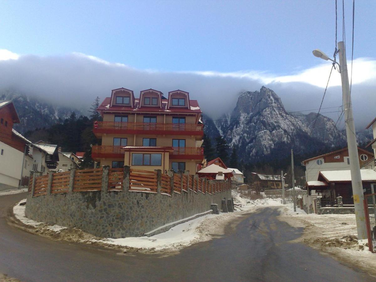 Vila Piano Buşteni Exterior foto